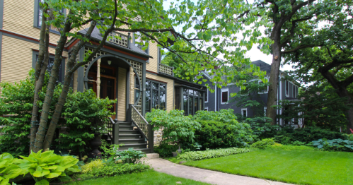 Green trees and grass surrounding historic homes in Oak Park