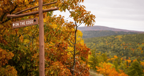 A wooden signpost peeks through vibrant oak leaves toward a colorful mountain view.