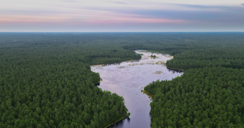 Aerial Photograph of the New Jersey Pine Barrens and Mullica River
