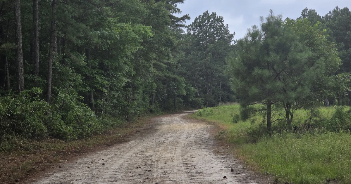 6 Underrated Delaware Hikes That Rival Gordon’s Pond Trail