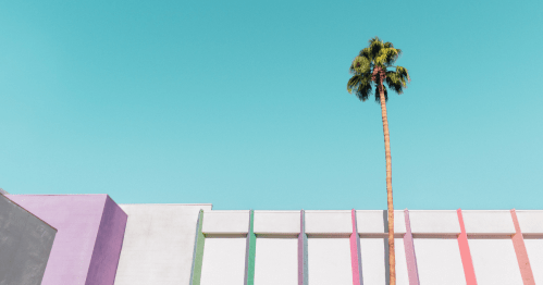 the top of a white building with colorful pastel accents against a blue sky and we also see a palm tree reaching up o the sky