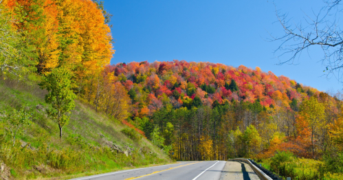 Ridgeline covered in fall foliage appears over paved road under a bright blue sky