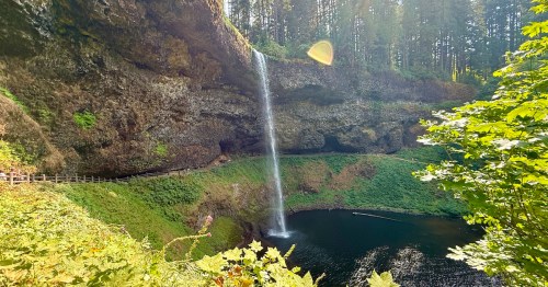 A white ribbon of a waterfall plunges over a rim into a bowl covered with green vegetation.