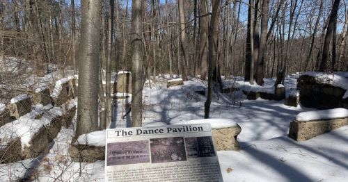 A information plaque that says "The Dance Pavilion" overlooking a forest