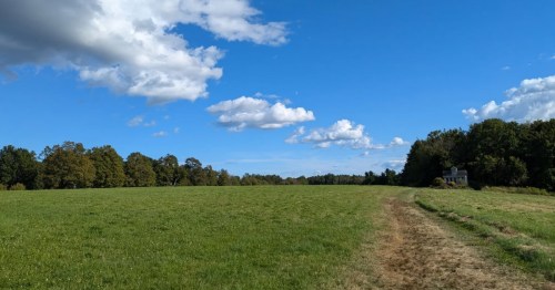 A well-groomed expanse of green grass shows a dirt road cutting through it with forests on either side and a blue sky above.