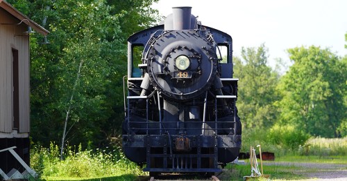 vintage train surrounded by green trees
