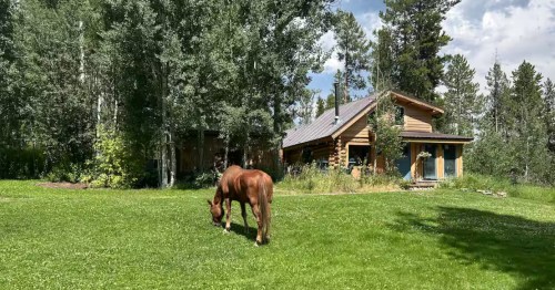 A horse outside the Charming Jackson Hole Cabin Airbnb in Wilson, Wyoming.