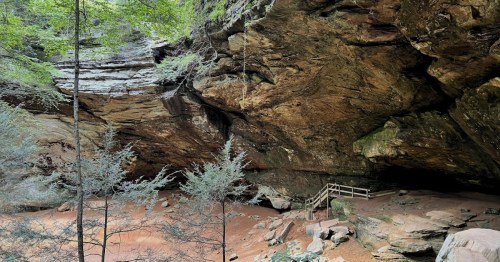 The cave walls stand tall, stretching high above the trees.