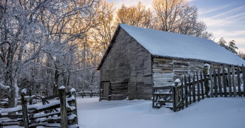 A snowy day at Cumberland Gap National Park