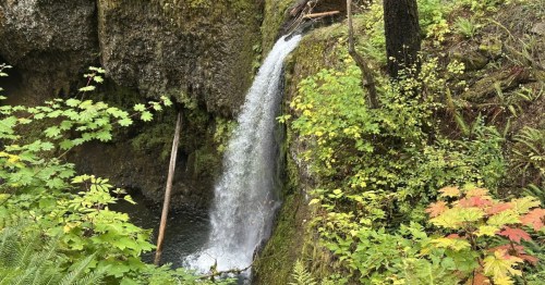 Looking at the side of a waterfall as it tumbles off a ledge in Oregon's Columbia River Gorge.