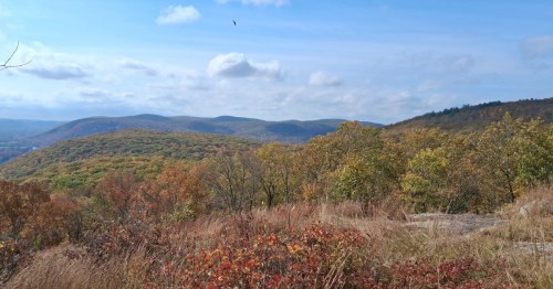 A wide view of mountains covered in fall foliage.