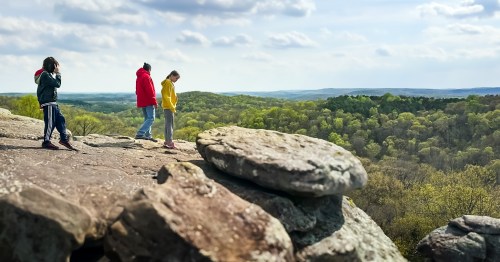 A man and two kids standing on a rock overlook above an expansive forest