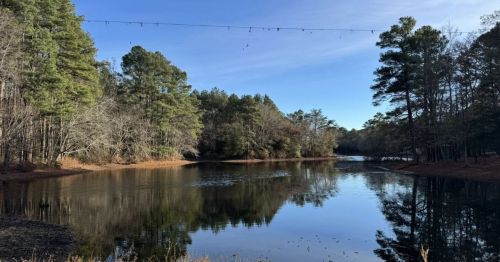 A lake a