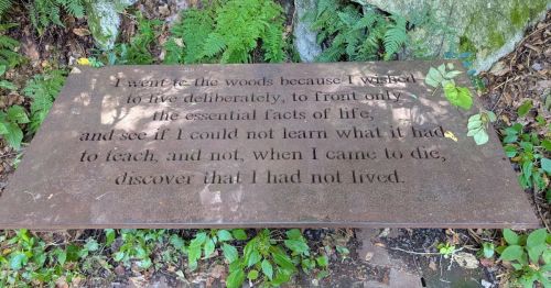 A plaque on the ground with a poem engraved into it.