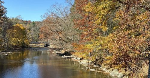 A river running next to colorful autumn trees on the shore.