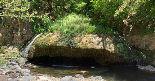 Hidden waterfall in Arizona surrounded by moss-covered rocks and greenery.