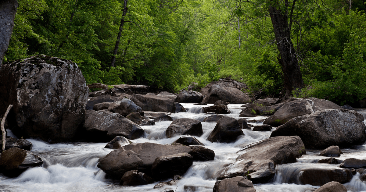 Where Locals Go Undiscovered Gems in Arkansas