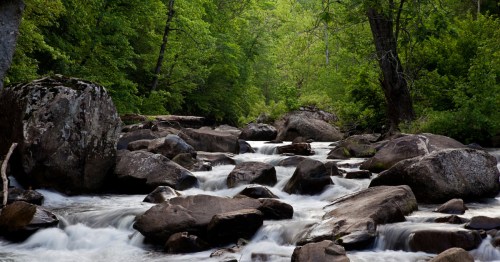 A peaceful mountain stream flowing over mossy rocks and boulders in a lush Arkansas forest.