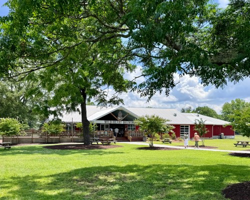 Exterior view of Wild Heart's main entrance and facade with lush grass and trees
