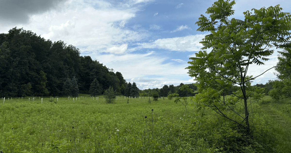 Discover Wisconsin's 7-Mile Trail That’s Worth the Sweat