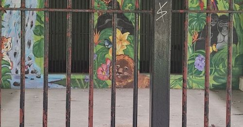 An abandoned zoo exhibit.