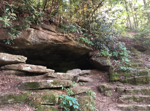 The exterior of Boone's Cave in North Carolina surrounded by green plants and vines.