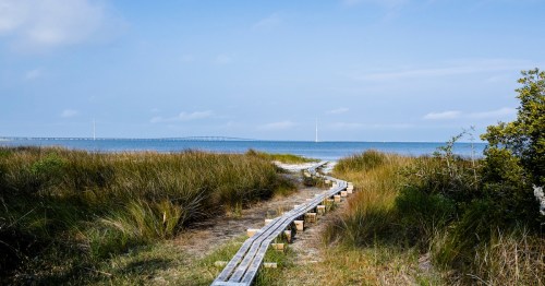 Boardwalk in Apalachicola, Flordia