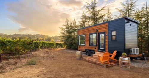 A modern glamping-style cabin sits next to a small path leading through a vineyard.