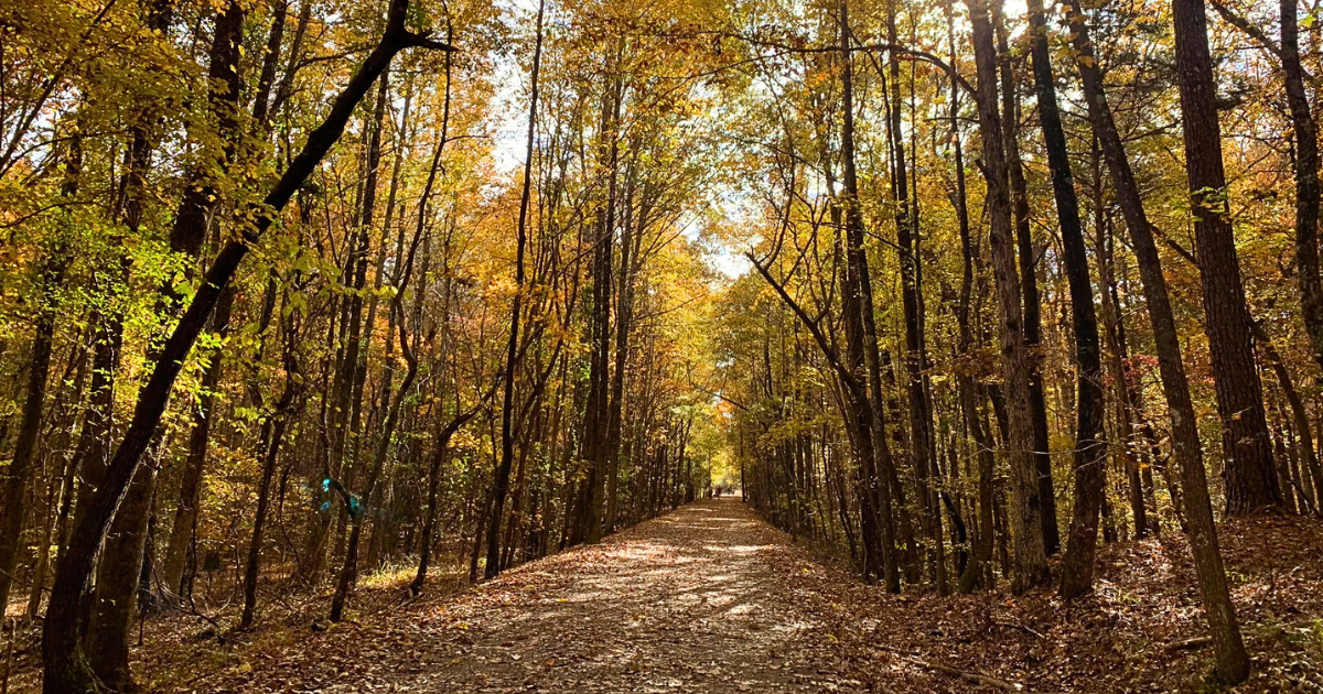 The Historic 5.9 Mile Rail Trail in Mississippi Worth Breaking a Sweat For