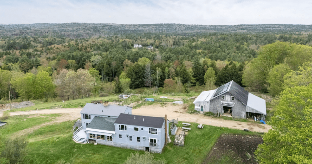 You Can Sleep on a Working Cattle Farm at This Airbnb in New Hampshire