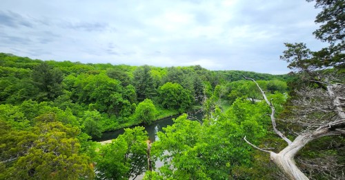 A rocky ledge overlooks a winding river surrounded by lush green trees and a gray sky.