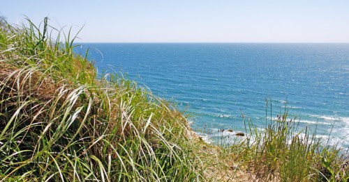 Long green and brown grasses along a footpath leading towards the blue ocean on Block Island.