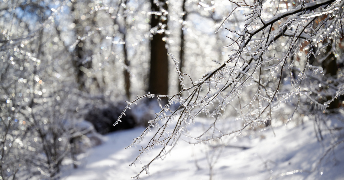 Pennsylvania’s Winter Forecast Is in (And It’s Not What You’d Expect)