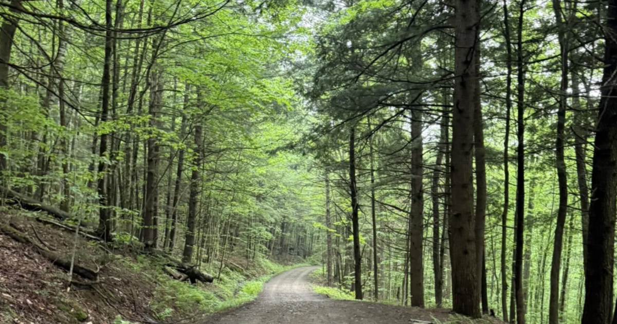 The Remote Small Town in the Center of Vermont Locals Don’t Want You To Find