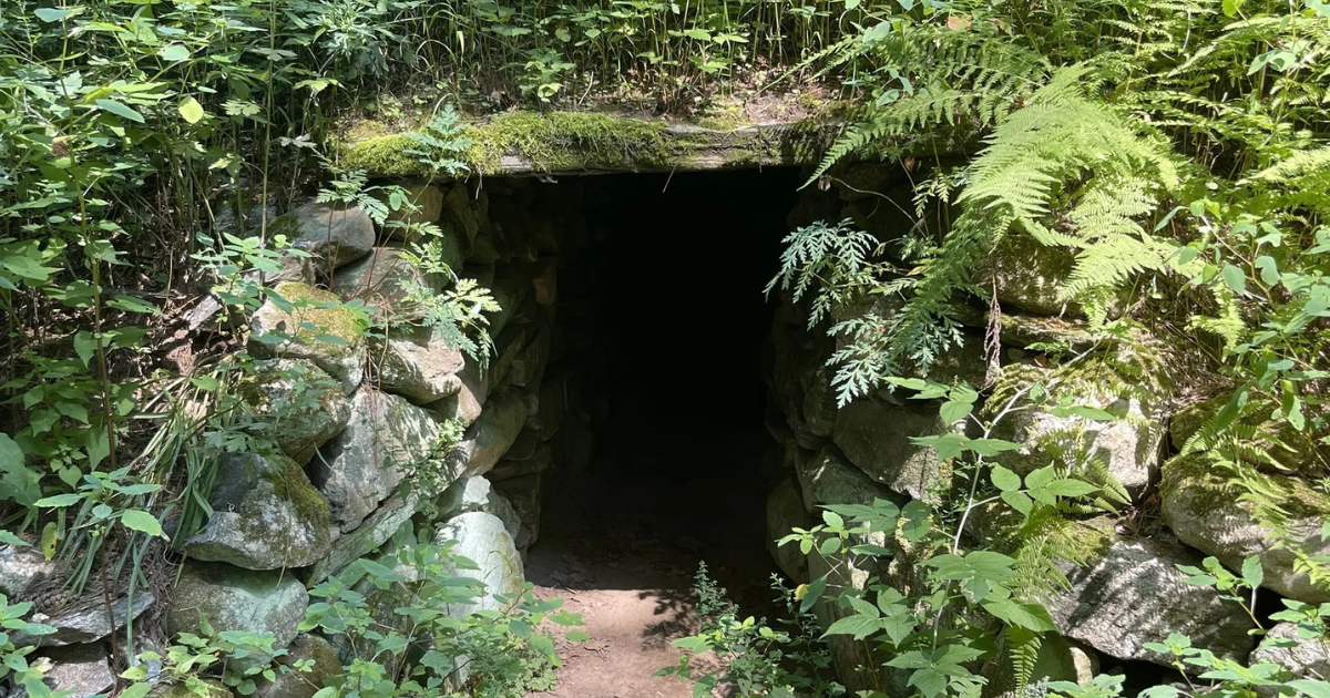 Uncover the Mysterious Underground World Hiding in Massachusetts’ Conservation Land