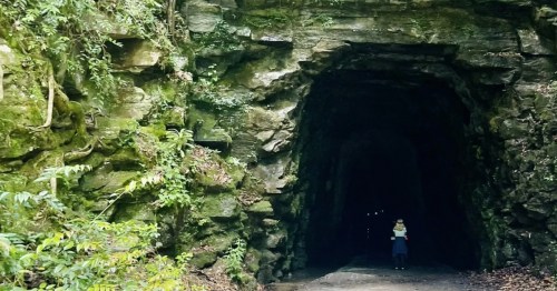 Hiker at entrance to dark tunnel in South Carolina, covered by rocks, leaves, and ferns.