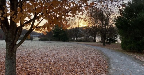 A curvy path winds under a canopy of fall foliage with lake in distance