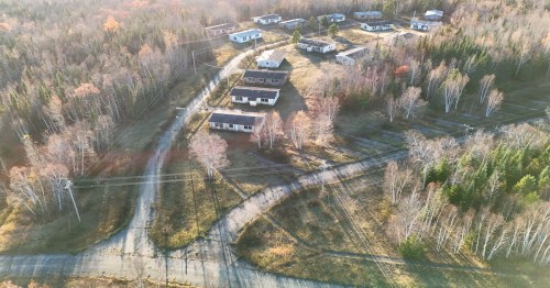 Abandoned prefab homes surrounded by forest, overgrown grass and a cracked pavement under a clear blue sky.