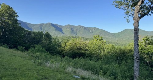 A bit of grass sits in the foreground while vast expanses of forests fill the mountains beyond.