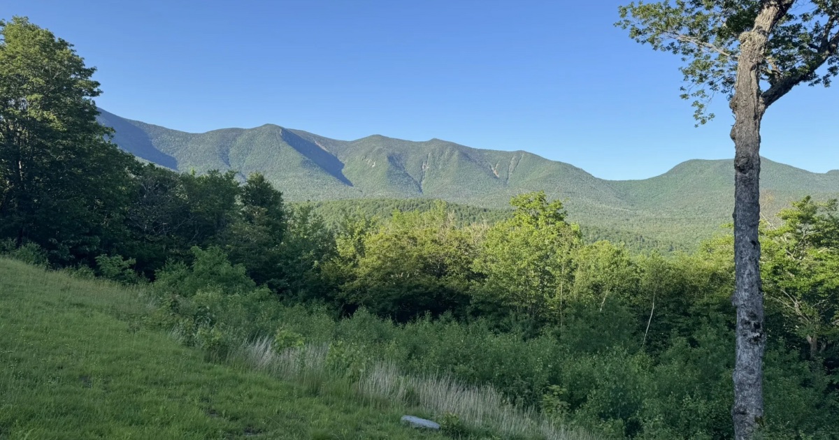 This Trail in White Mountain National Forest is Worth the Climb