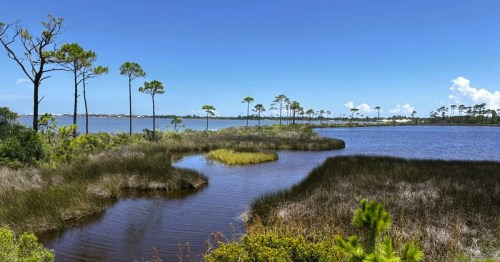 A serene lake at Bon Secour National Wildlife Refuge in Gulf Shores with a shoreline covered with shrubs and trees.