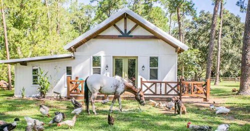 A white farm cabin with a porch, surrounded by animals: horse, chickens, and a dog in Florida.