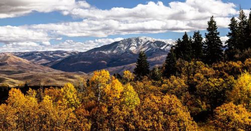 The Wasatch Mountains in Huntsville, Utah, surrounded by brilliant fall foliage.