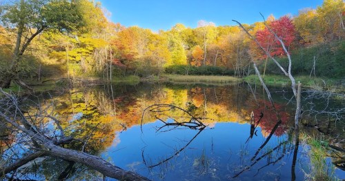 Vibrant fall foliage reflects in a serene lake under a blue sky.