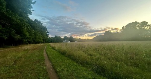 The sun is setting over a wide expanse of grass with a thin dirt trail curving through it. A forest sits to the left side.