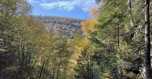 Lye Brook Falls Trail in Vermont
