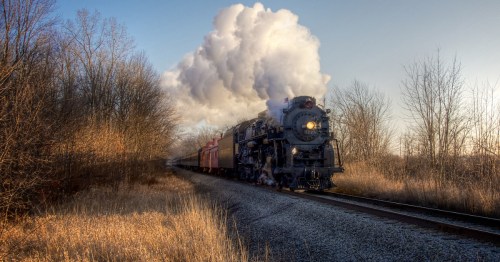 A large black steam locomotive driving forward between dried grass and autumn trees.