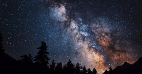 The Milky Way dances over the sky with silhouettes of trees.