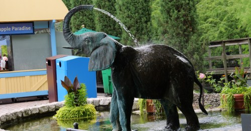 A dark colored baby elephant fountain statue with water coming out of its trunk.