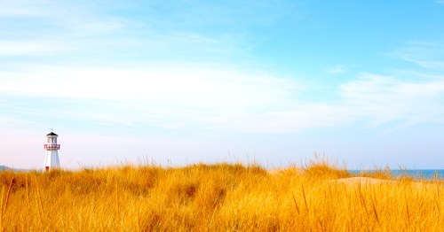 A close up of dune grass overlooking Lake Michigan a light house juts out above the dune
